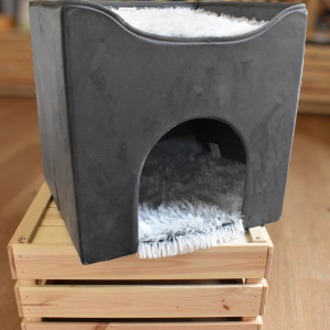 Abri Harvey - Trixie