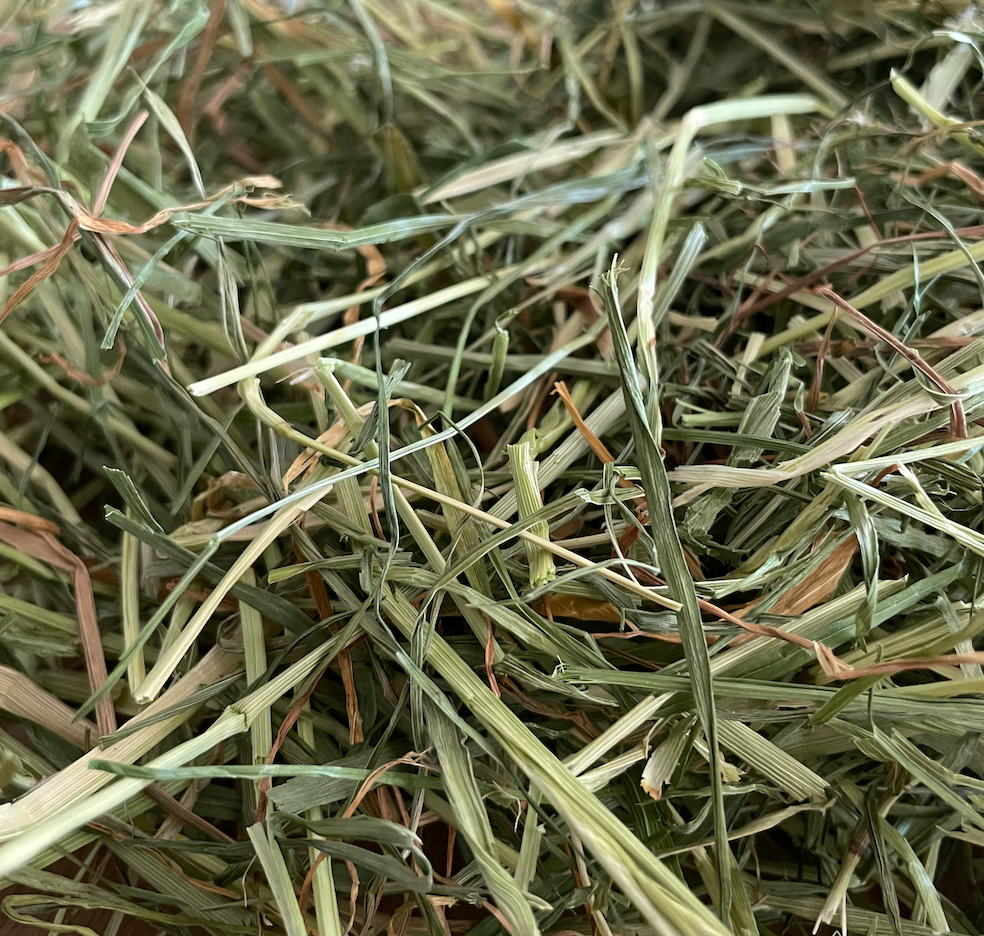 Foin de prairie PREMIUM â Image 3