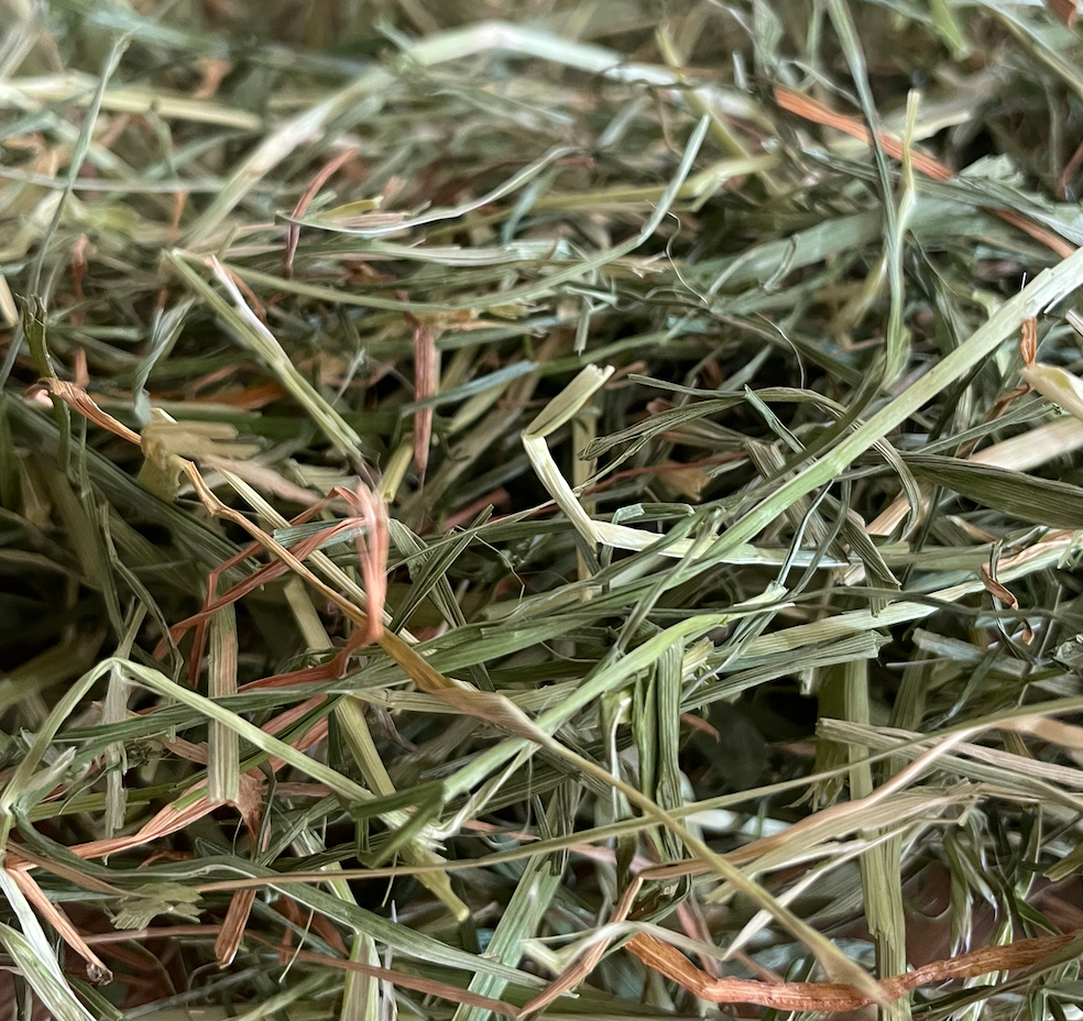 Foin de prairie PREMIUM â Image 2