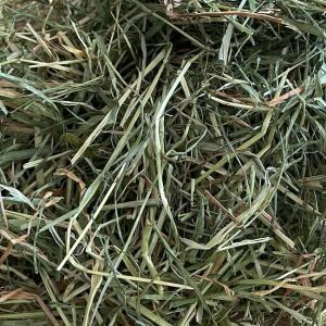 Foin de prairie PREMIUM