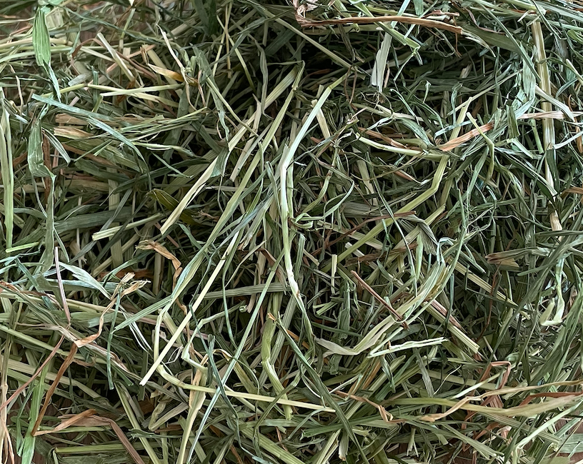 Foin de prairie PREMIUM