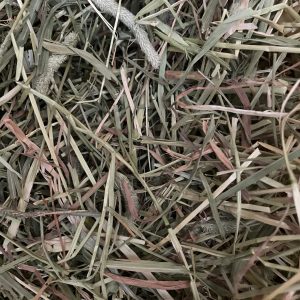 Foin de fléole - Lapin et rongeurs