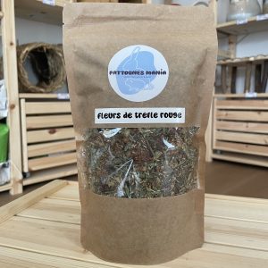 Fleurs de trèfle rouges séchées