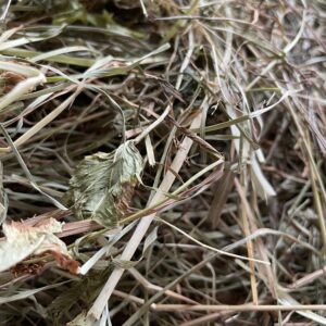 Foin de prairie local