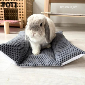 Coussin Grenouille / Snugabun pour lapins - SOLO Velours nid d'abeille