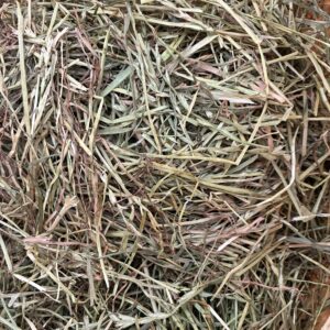 Foin Doré prairie ray-grass - Lapin et rongeurs