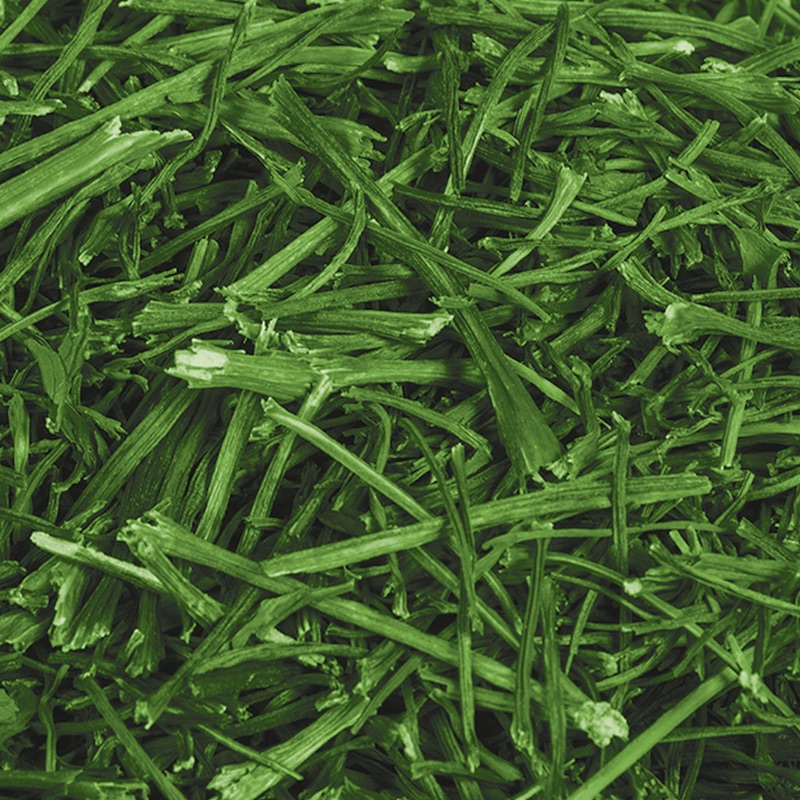 Persil séché – Image 3